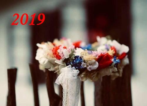 Svadby 2019