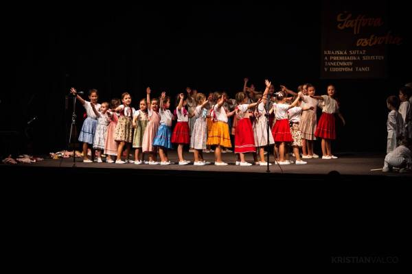 Okresná súťaž Vranov deti – FS Lipovec, photo 20
