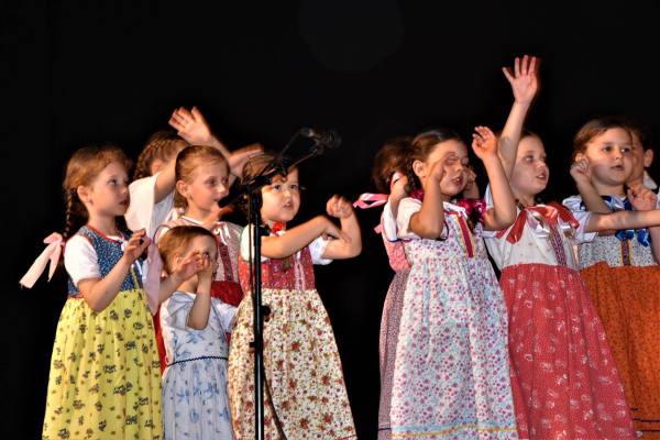Raslavice - krajská súťaž - deti – FS Lipovec, photo 10