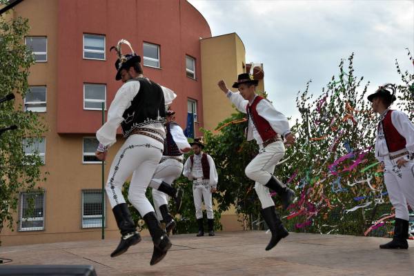 Sobrance – FS Lipovec, photo 12